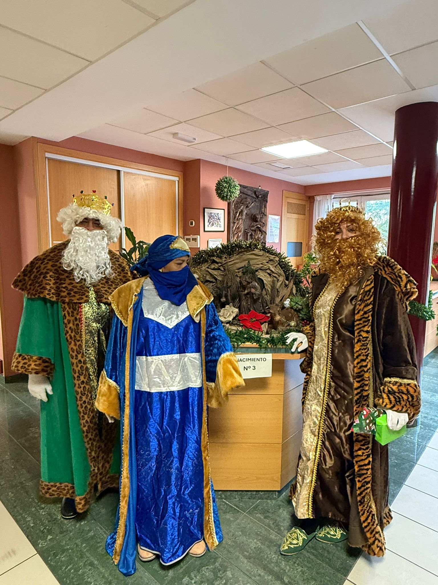 Visita de los Reyes