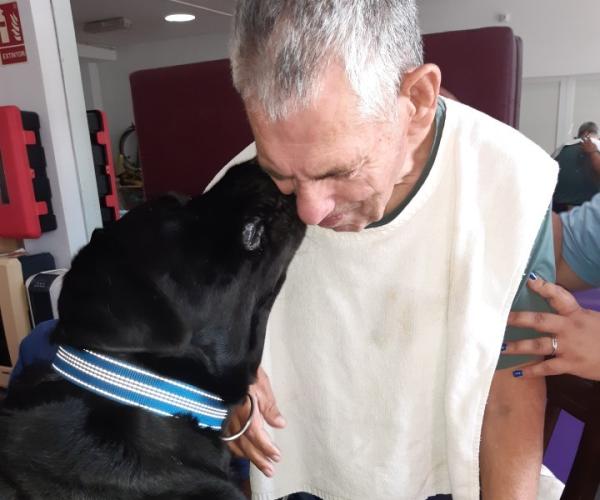 "Terapia asistida con animales, una terapia llena de beneficios"