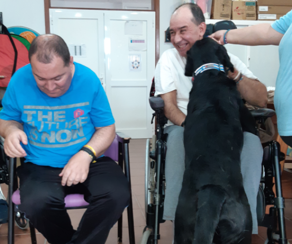 "Terapia asistida con animales, una terapia llena de beneficios"