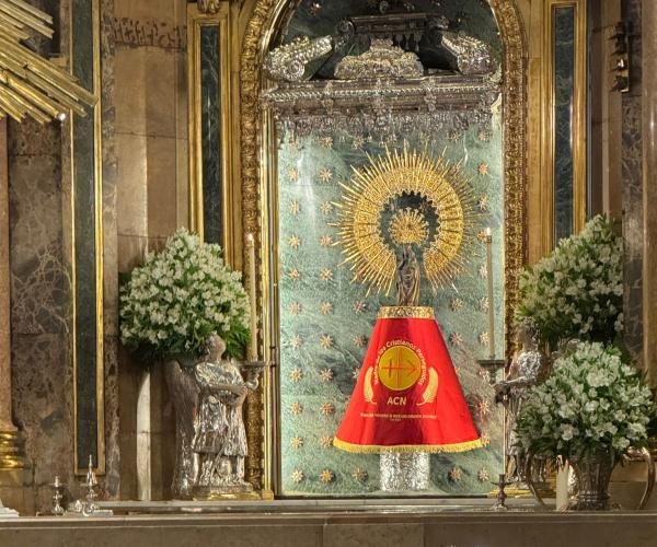 Visita Canónica Zaragoza